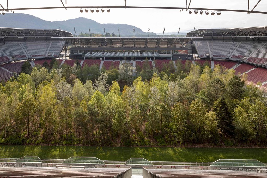 "For Forest" is an artwork created by Klaus Littmann made of 300 trees common in European forests, like birch, aspen, willow, maple, and oak.