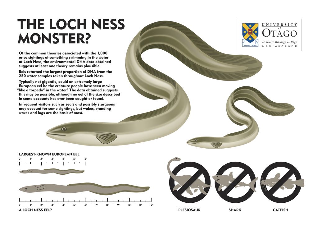 Graphic suggesting giant eel as possible explanation for Loch Ness monster.