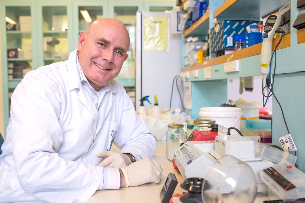 Professor Neil Gemmell in his lab at the University of Otago.