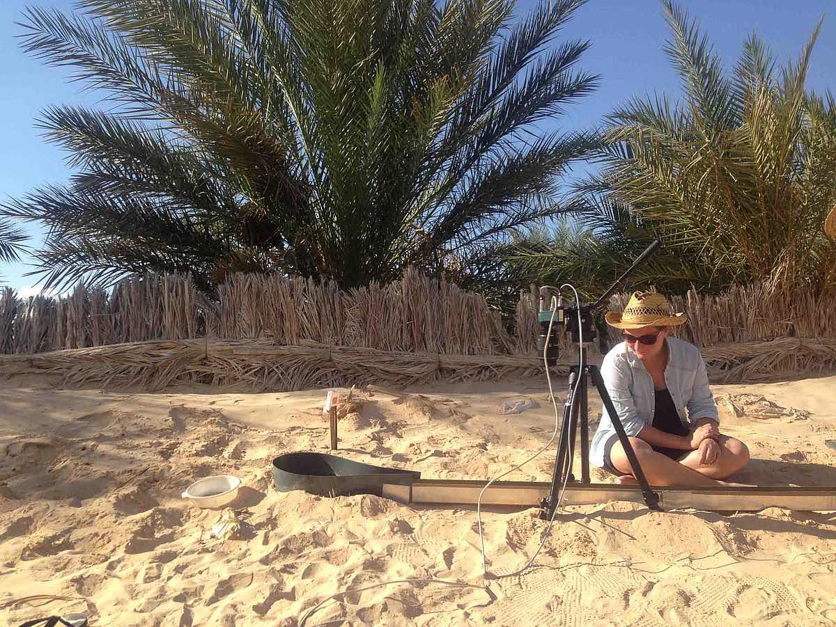 A scientist sits by an aluminum channel set up to film Saharan silver ants running.