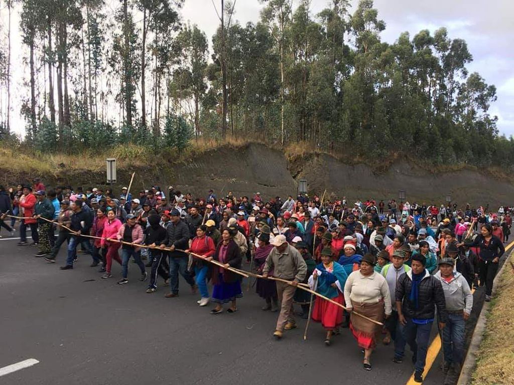 A group of indigenous people march toward Quito.