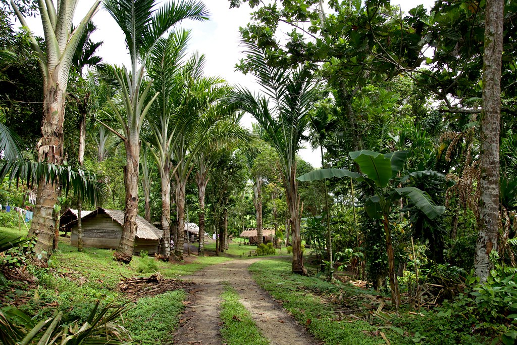 Village on Buka Island, Bougainville