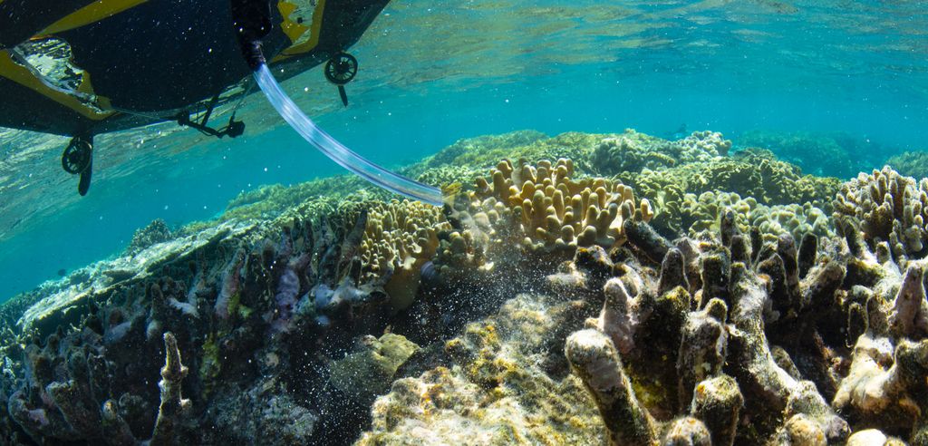 Coral reseeding using LarvalBoat.