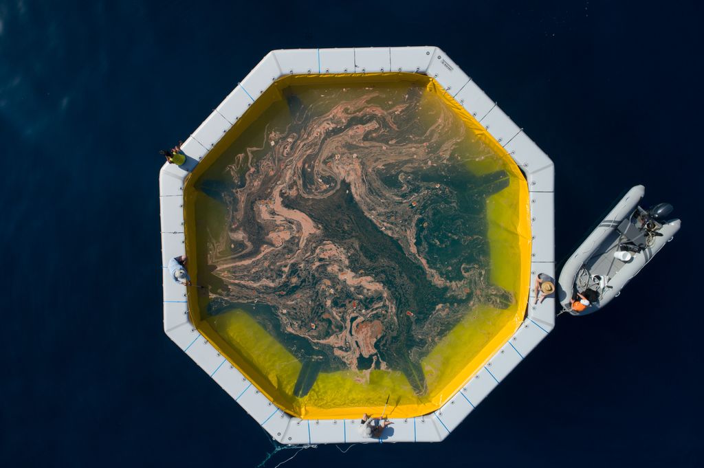 Floating nursery pool filled with millions of coral sperm and eggs after the annual mass spawning .