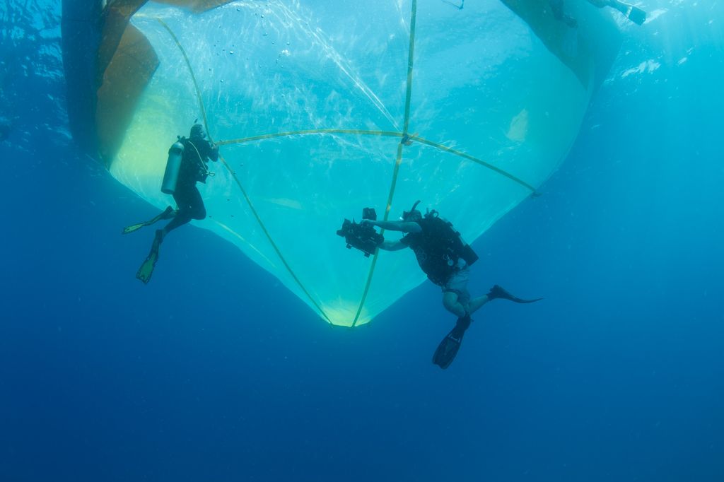 Two divers in front of a huge floating coral larvae nursery.