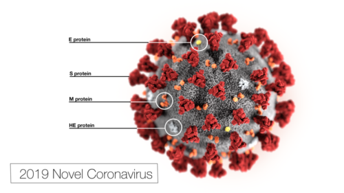 This illustration, created at the Centers for Disease Control and Prevention (CDC), reveals ultrastructural morphology exhibited by the 2019 Novel Coronavirus (2019-nCoV).