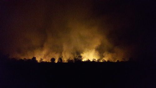 Fire-fighting in New South Wales, 2019-12-08 2.35am Photo: Blair Webster