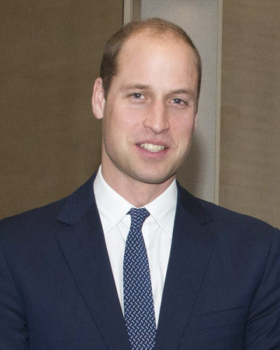 Prince William, Duke of Cambridge, at the Hanoi Conference on Illegal Wildlife Trade