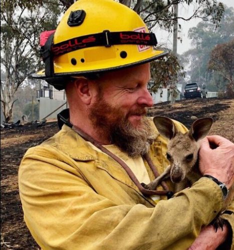 US Forest Service fire fighter Dave Soldavini with a rescued joey (young kangaroo).