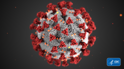 This illustration, created at the Centers for Disease Control and Prevention (CDC), shows what the 2019 Novel Coronavirus (2019-nCoV) looks like.