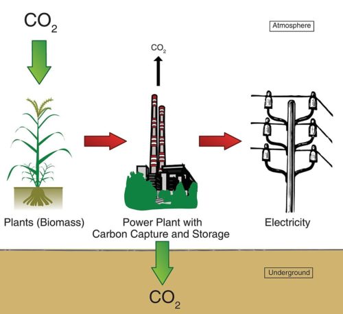 Diagram of a bioenergy with carbon capture and sequestration power plant. Plants remove CO 2 from the atmosphere while growing. If we harvest the biomass and burn it in a power plant we can generate electricity. With BECCS, we do not release all the CO 2 into the atmosphere, but we separate the CO 2 (capture) and store it underground