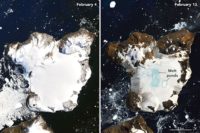 Before-and-after snapshots showing the rapid melting of the snowpack on Eagle Island at the tip of the Antarctic Peninsula over nine days.