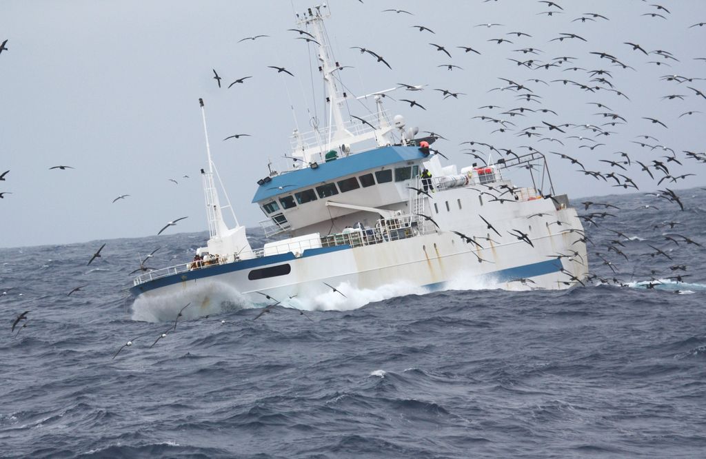French long liner fishing in the Kerguelen waters.