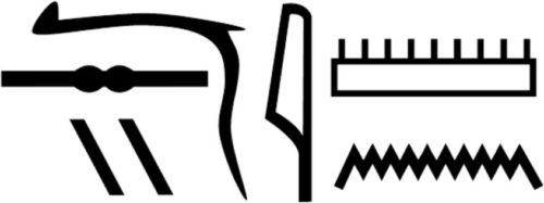 Nesyamun’s name in hieroglyphs as shown in his coffin inscriptions.