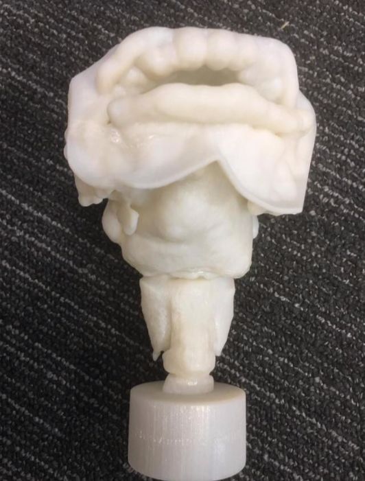 3D-printed vocal tract of Nesyamun