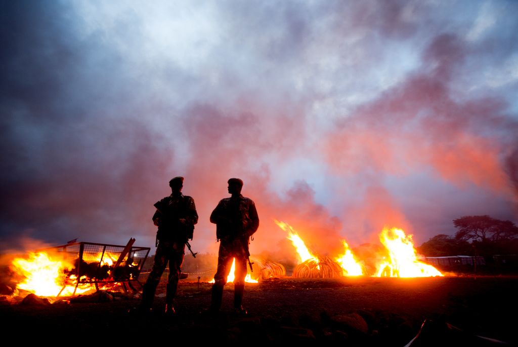 Two Kenya Wildlife Service Rangers are silhouetted by burning ivory and rhino horn in Nairobi National Park on 30th April 2016.