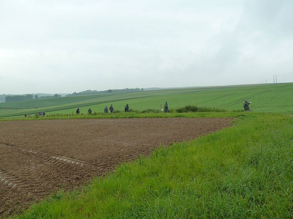 Authie.- Les fossés petits (Somme) en mai 2014