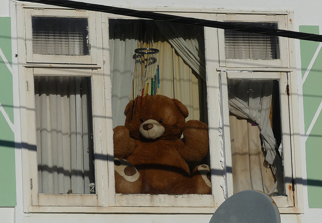 Covid-19 Big teddy in window, The Parade Island Bay, Wellington