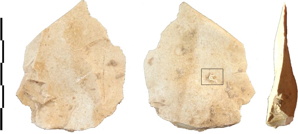 Stone tool used by Neanderthals.