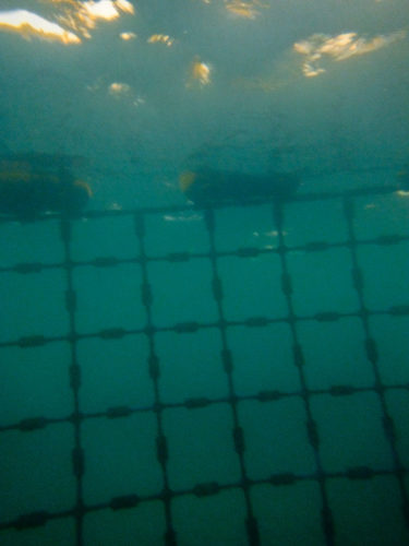 Shark net at Coogee Beach Western Australia