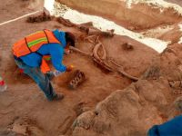 Archeologist spraying mammoth bones found during excavation at location of new international airport in Mexico City.