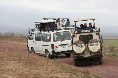 Safari vehicles with tourists in the Ngorongoro crater in Tanzania