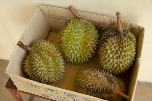 A box of ripe durians