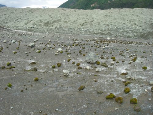 Field of glacier mice