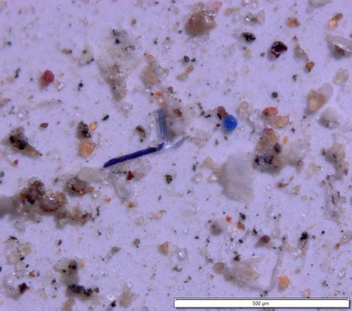 microplastics