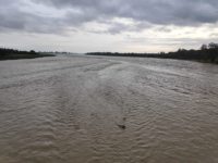 Bagmati River Flood, July 10, 2020