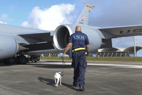 Tony Thompson, U.S. Department of Agriculture brown tree snake detector dog handler, and Striker, Striker, a USDA brown tree snake detector dog, inspect an aircraft prior to departure