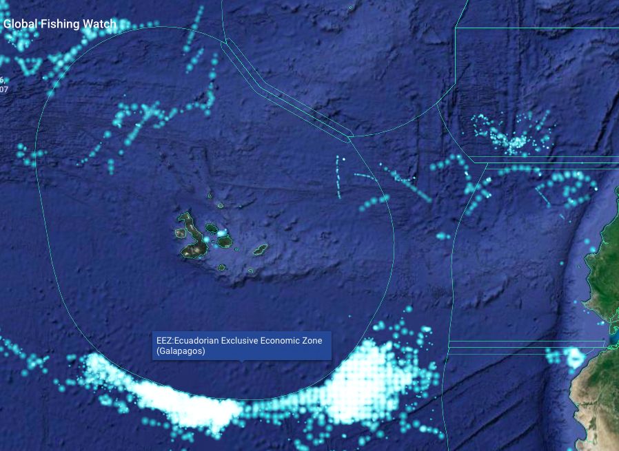 Map showing location of Chinese fishing fleet outside of Ecuadorian waters.
