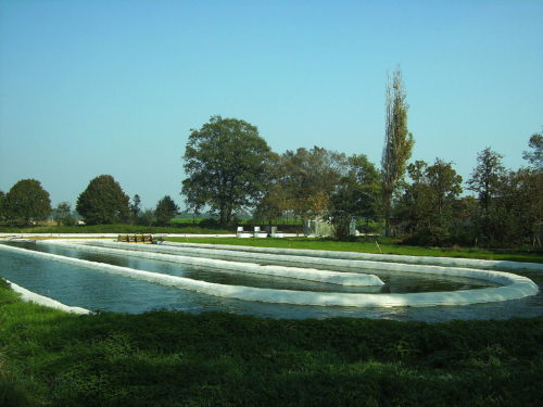 Raceway pond used for the cultivation of microalgae. The water is kept in constant motion with a powered paddle wheel.