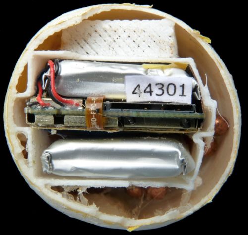 This photo shows the interior of a decoy turtle egg with visible GPS tracking mechanism