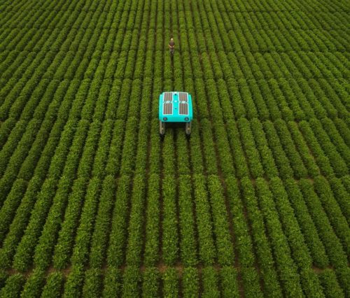 Aerial view of one of Mineral's solar-powered plant buggies in the middle of a green field of plants.