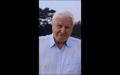Screenshot from the first video by David Attenborough on his new Instagram account.