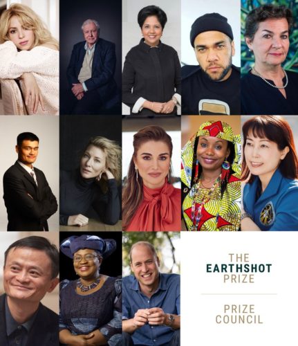 The Earthshot Council