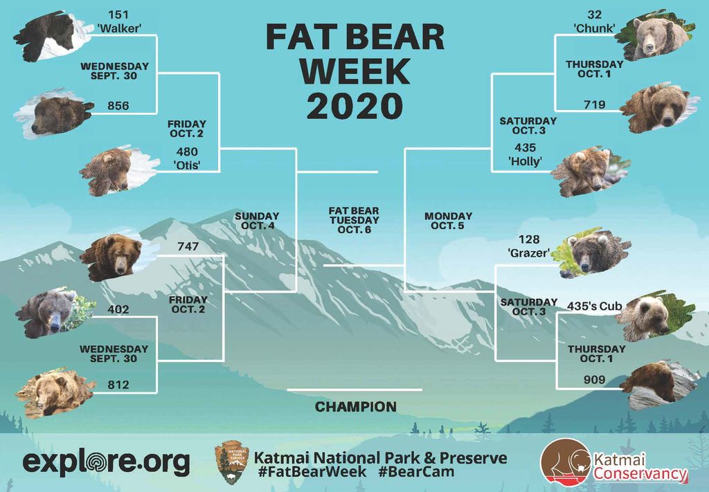 For Real? Fat Bears, Sweet “Bread”, & Space Toilets