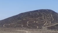 Picture of newly discovered cat Nazca line in Peru.