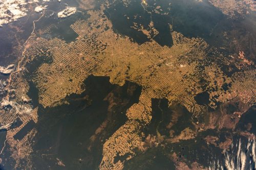 The Amazon rainforest, or at least what's left of it, generates a large part of the oxygen that you breathe. A few decades back, these photos would've been dark green.