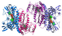 This structure represents a dehydrogenase enzyme from the bacteria Colwellia psychrerythraea. The enzyme is capable of generating harmful reactive oxygen species and has been implicated in neurodegeneration, ischemia-reperfusion, cancer and several other disorders.
