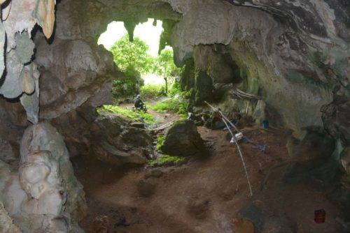 The mouth of the Leang Tedongnge cave in Sulawesi, Indonesia, where the world's oldest painting was found.