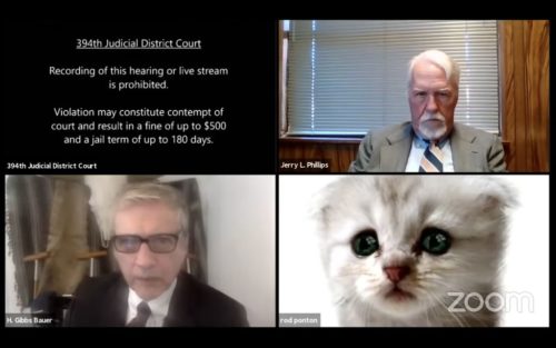 Screenshot of a video hearing in which lawyer Ron Ponton appears as a cat. Two other lawyers appear in the image.