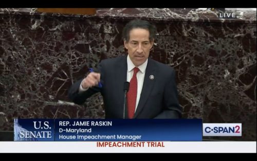 Democrat Jamie Raskin of Maryland speaks at the second impeachment trial of Donald Trump.