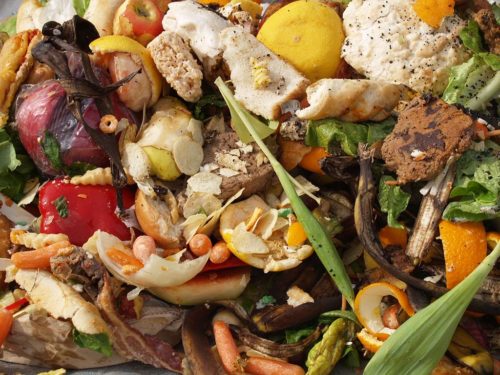 A wide variety of food scraps found in a Chandler-Gilbert Dumpster Dive.