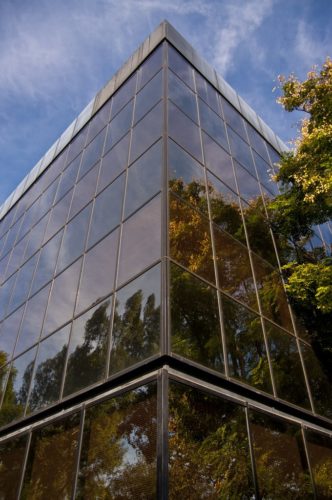 Tree reflection in a building with many windows.