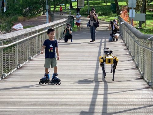Boston Dynamics' Spot robot patrolling a park in Singapore in an attempt to encourage social distancing.