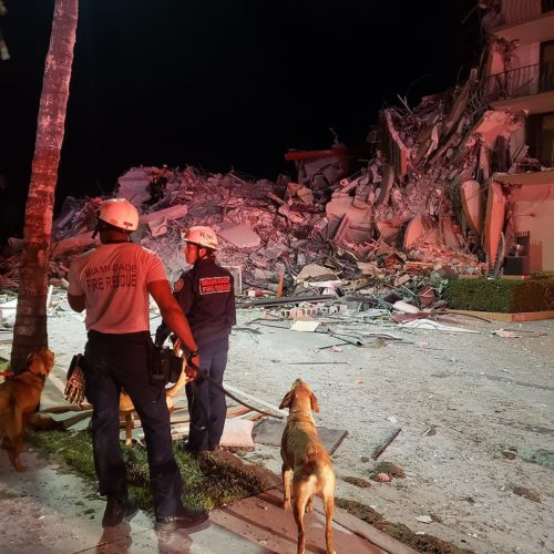 Rubble of the partially collapsed Champlain Towers South building, and rescue workers from the Miami-Dade Fire Rescue Department preparing to enter the rubble with a rescue dog.