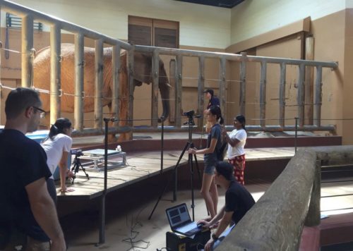 Elephant research area at Zoo Atlanta