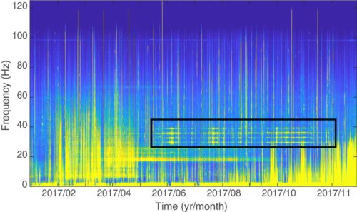 Long-term spectrogram of audio from the Chagos Archipelago with the songs of the new population of pygmy blue whales outlined in black.